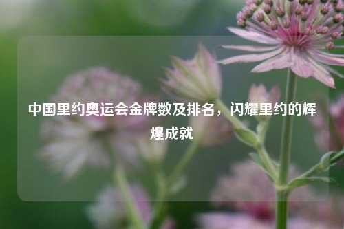 中国里约奥运会金牌数及排名,闪耀里约的辉煌成就