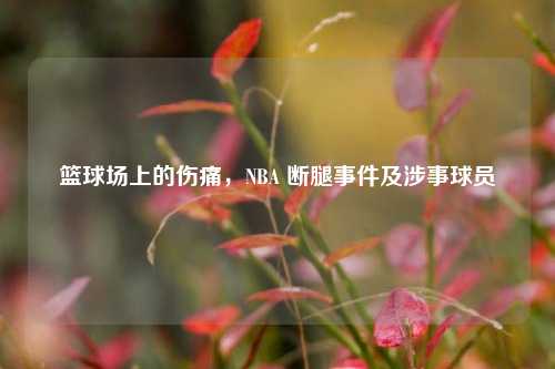 篮球场上的伤痛,NBA 断腿事件及涉事球员