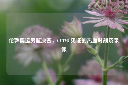 伦敦奥运男篮决赛,CCTV5 见证的热血时刻及录像