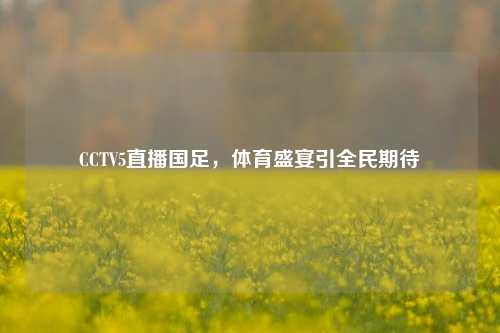 CCTV5直播国足,体育盛宴引全民期待