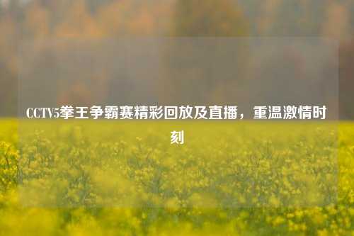 CCTV5拳王争霸赛精彩回放及直播，重温激情时刻