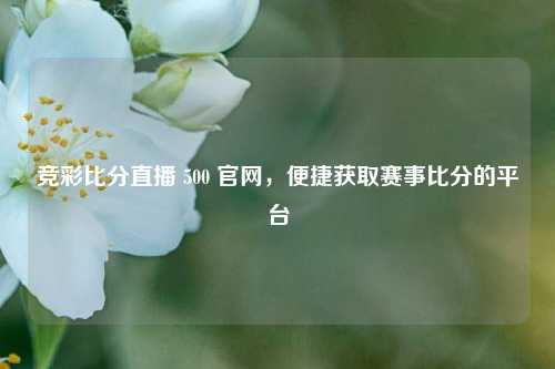 竞彩比分直播 500 官网,便捷获取赛事比分的平台