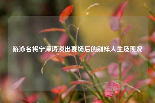 游泳名将宁泽涛淡出赛场后的别样人生及现况