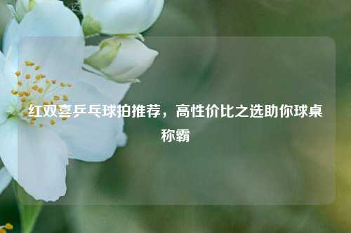 红双喜乒乓球拍推荐，高性价比之选助你球桌称霸