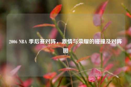 2006 NBA 季后赛对阵,激情与荣耀的碰撞及对阵图