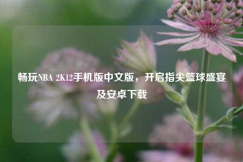 畅玩NBA 2K12手机版中文版,开启指尖篮球盛宴及安卓下载