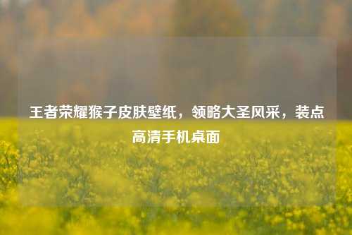 王者荣耀猴子皮肤壁纸，领略大圣风采，装点高清手机桌面