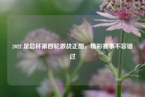 2022 足总杯第四轮激战正酣,精彩赛事不容错过