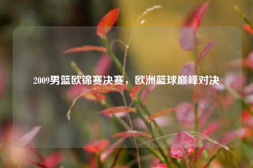 2009男篮欧锦赛决赛,欧洲篮球巅峰对决