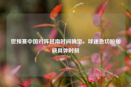 世预赛中国对阵越南时间确定,球迷急切盼知晓具体时刻