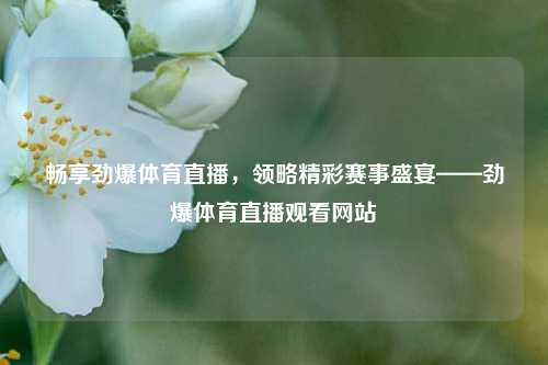 畅享劲爆体育直播,领略精彩赛事盛宴——劲爆体育直播观看网站
