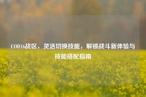 COD16战区,灵活切换技能,解锁战斗新体验与技能搭配指南