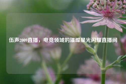 伍声2009直播,电竞领域的璀璨星光闪耀直播间