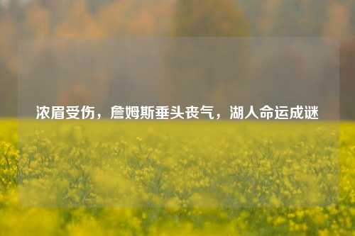 浓眉受伤,詹姆斯垂头丧气,湖人命运成谜