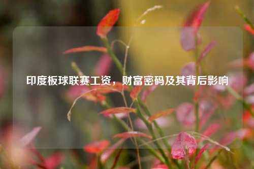 印度板球联赛工资,财富密码及其背后影响