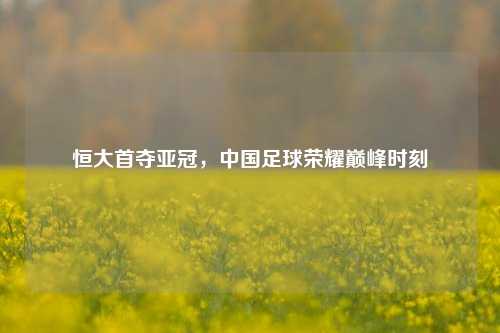 恒大首夺亚冠,中国足球荣耀巅峰时刻