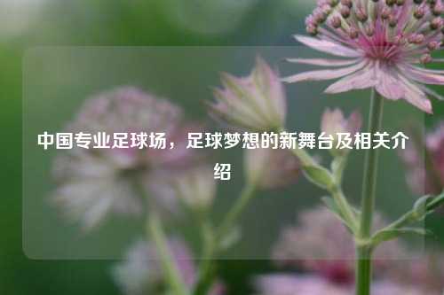 中国专业足球场，足球梦想的新舞台及相关介绍