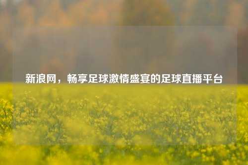新浪网,畅享足球激情盛宴的足球直播平台