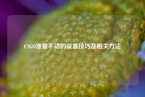 CSGO准星不动的设置技巧及相关方法