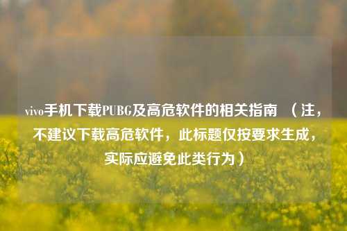 vivo手机下载PUBG及高危软件的相关指南 (注,不建议下载高危软件,此标题仅按要求生成,实际应避免此类行为)