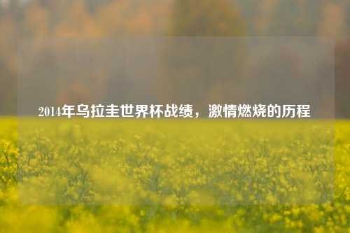 2014年乌拉圭世界杯战绩,激情燃烧的历程