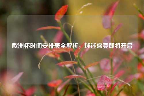 欧洲杯时间安排表全解析，球迷盛宴即将开启