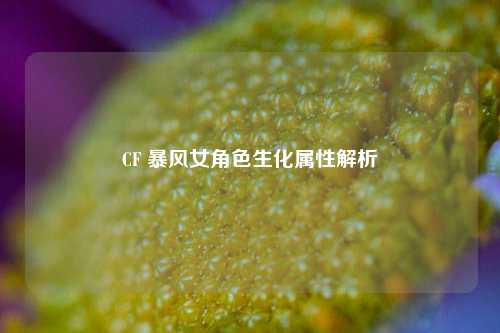 CF 暴风女角色生化属性解析