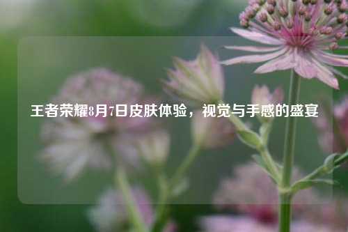 王者荣耀8月7日皮肤体验,视觉与手感的盛宴