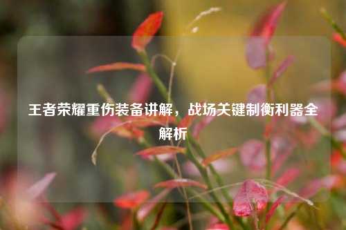 王者荣耀重伤装备讲解，战场关键制衡利器全解析