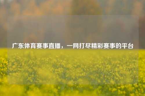 广东体育赛事直播,一网打尽精彩赛事的平台