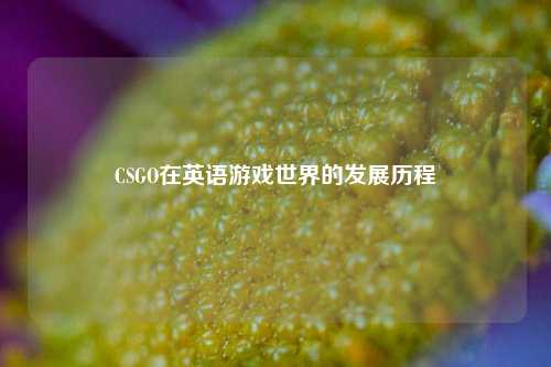 CSGO在英语游戏世界的发展历程