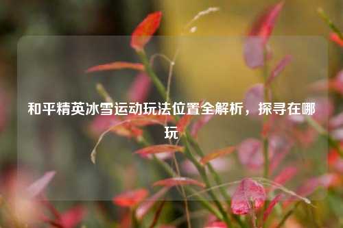 和平精英冰雪运动玩法位置全解析,探寻在哪玩