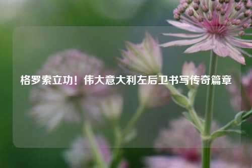 格罗索立功！伟大意大利左后卫书写传奇篇章
