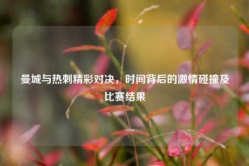曼城与热刺精彩对决,时间背后的激情碰撞及比赛结果