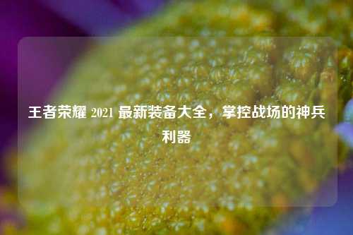 王者荣耀 2021 最新装备大全，掌控战场的神兵利器