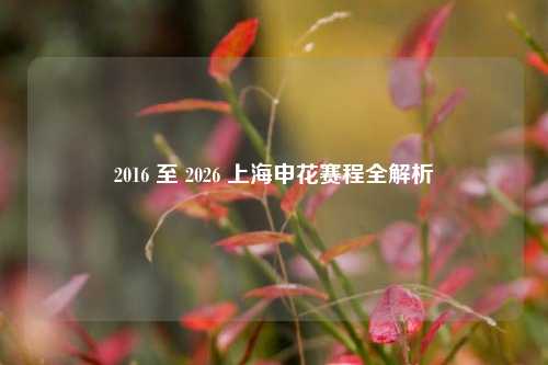 2016 至 2026 上海申花赛程全解析