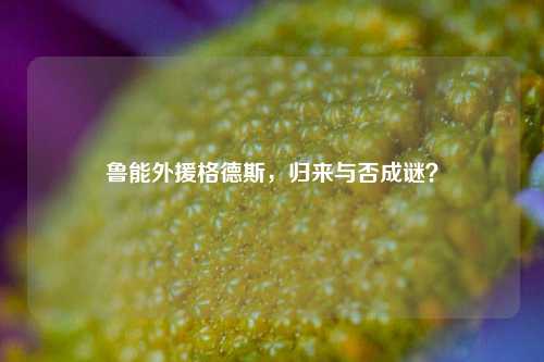 鲁能外援格德斯，归来与否成谜？