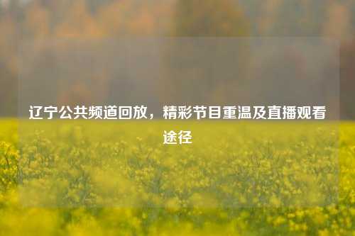 辽宁公共频道回放，精彩节目重温及直播观看途径