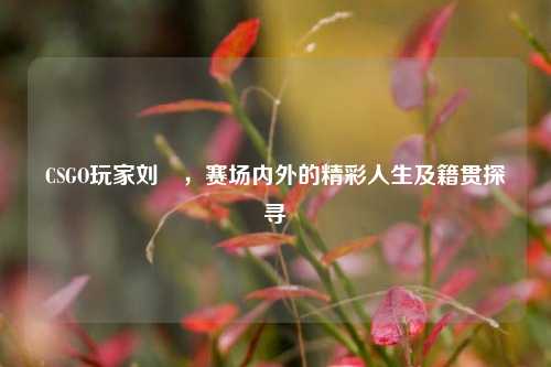 CSGO玩家刘頔,赛场内外的精彩人生及籍贯探寻