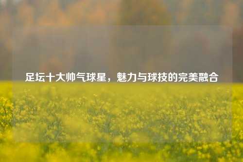 足坛十大帅气球星，魅力与球技的完美融合