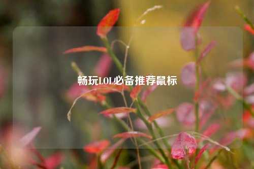畅玩LOL必备推荐鼠标