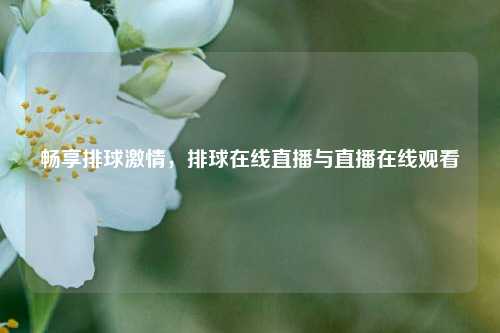 畅享排球激情，排球在线直播与直播在线观看