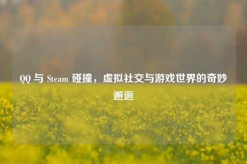 QQ 与 Steam 碰撞,虚拟社交与游戏世界的奇妙邂逅