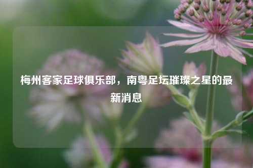 梅州客家足球俱乐部，南粤足坛璀璨之星的最新消息