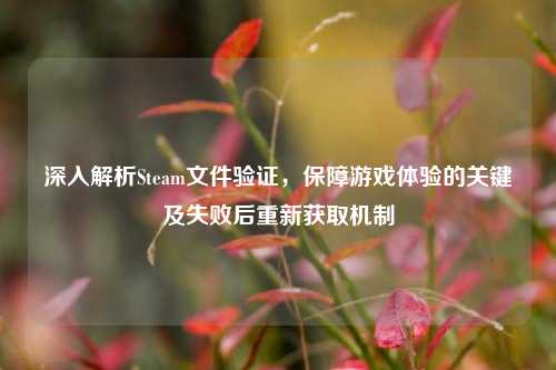 深入解析Steam文件验证，保障游戏体验的关键及失败后重新获取机制