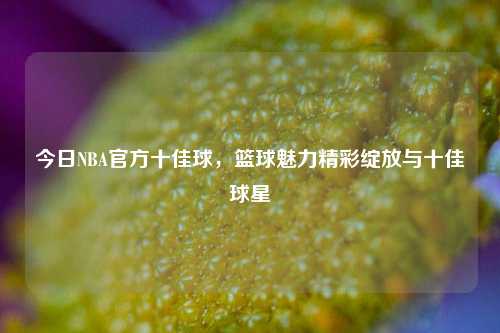 今日NBA官方十佳球，篮球魅力精彩绽放与十佳球星
