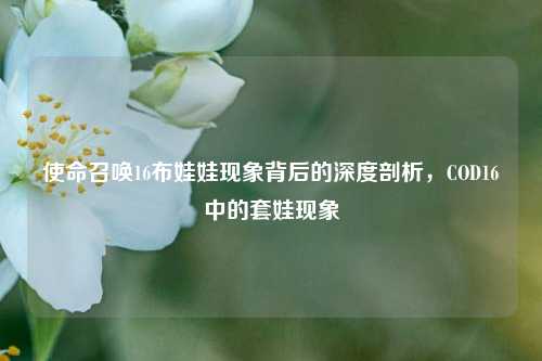 使命召唤16布娃娃现象背后的深度剖析,COD16中的套娃现象