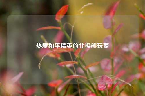 热爱和平精英的北极熊玩家