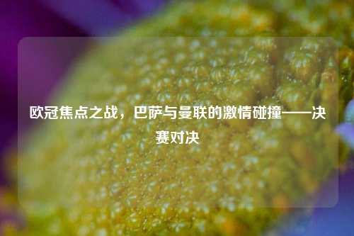 欧冠焦点之战，巴萨与曼联的激情碰撞——决赛对决