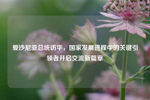 爱沙尼亚总统访华，国家发展进程中的关键引领者开启交流新篇章